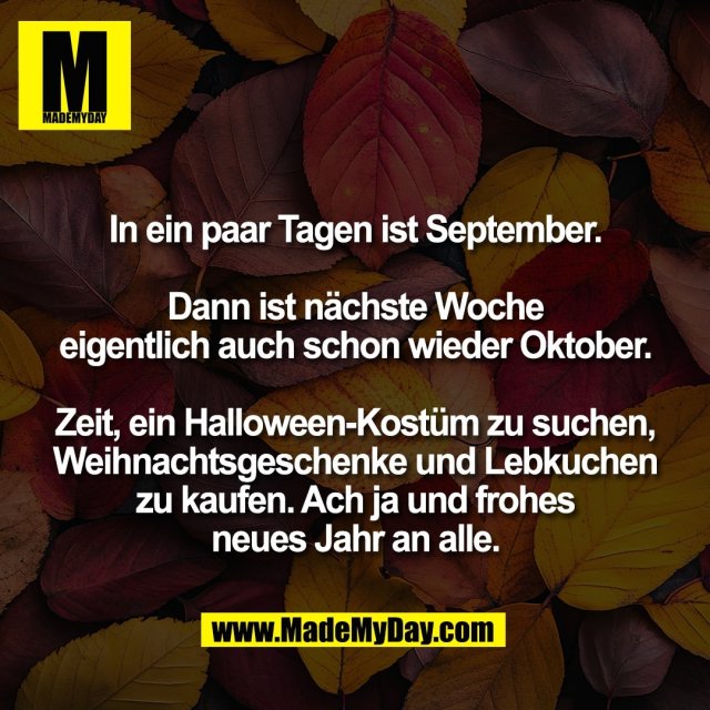 In ein paar Tagen ist September.<br />
<br />
Dann ist nächste Woche<br />
eigentlich auch schon wieder Oktober.<br />
<br />
Zeit, ein Halloween-Kostüm zu suchen,<br />
Weihnachtsgeschenke und Lebkuchen<br />
zu kaufen. Ach ja und frohes<br />
neues Jahr an alle.