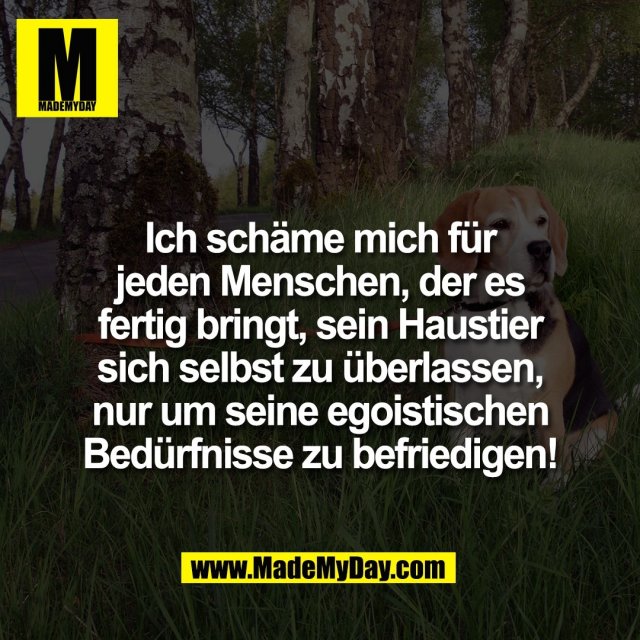 Ich schäme mich für<br />
jeden Menschen, der es<br />
fertig bringt, sein Haustier<br />
sich selbst zu überlassen,<br />
nur um seine egoistischen<br />
Bedürfnisse zu befriedigen!