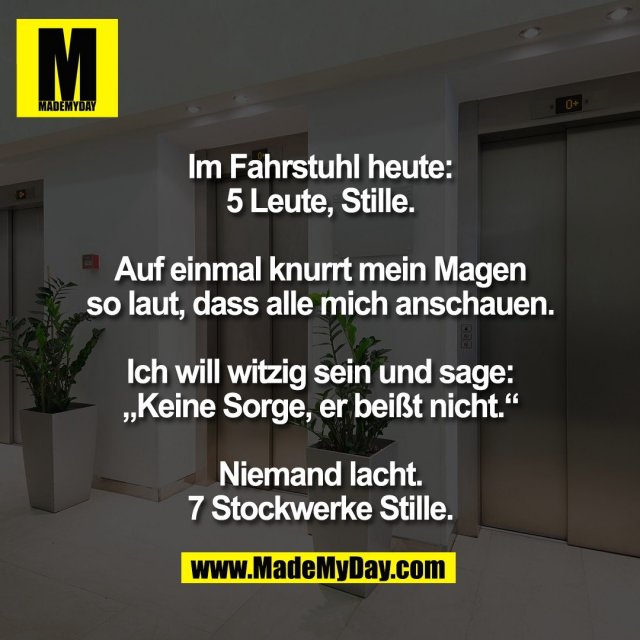 Im Fahrstuhl heute:<br />
5 Leute, Stille.<br />
<br />
Auf einmal knurrt mein Magen<br />
so laut, dass alle mich anschauen.<br />
<br />
Ich will witzig sein und sage:<br />
„Keine Sorge, er beißt nicht.“<br />
<br />
Niemand lacht.<br />
7 Stockwerke Stille.<br />

