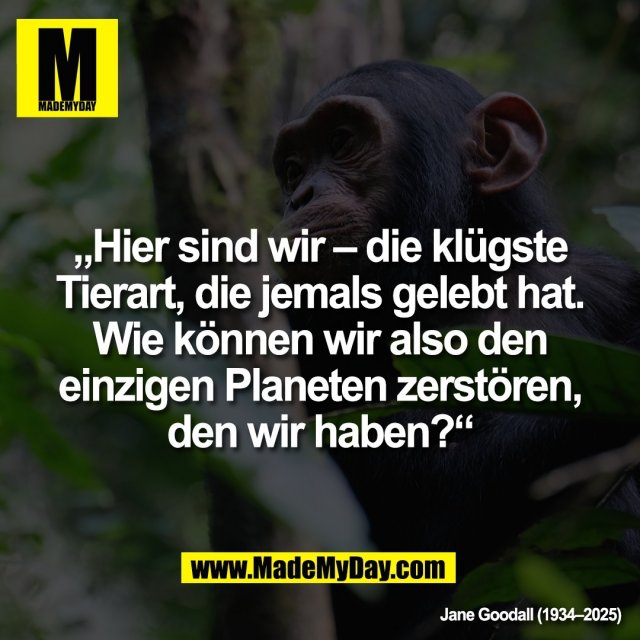 „Hier sind wir – die klügste<br />
Tierart, die jemals gelebt hat.<br />
Wie können wir also den<br />
einzigen Planeten zerstören,<br />
den wir haben?“<br />
Jane Goodall (1934–2025)