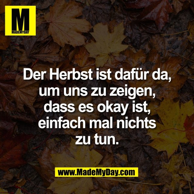 Der Herbst ist dafür da,<br />
um uns zu zeigen,<br />
dass es okay ist,<br />
einfach mal nichts<br />
zu tun.