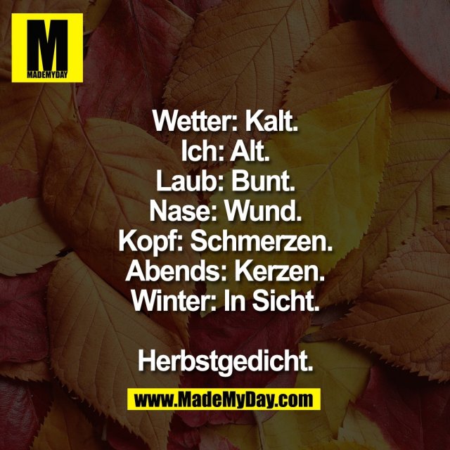 Wetter: Kalt.<br />
Ich: Alt.<br />
Laub: Bunt.<br />
Nase: Wund.<br />
Kopf: Schmerzen.<br />
Abends: Kerzen.<br />
Winter: In Sicht.<br />
<br />
Herbstgedicht.
