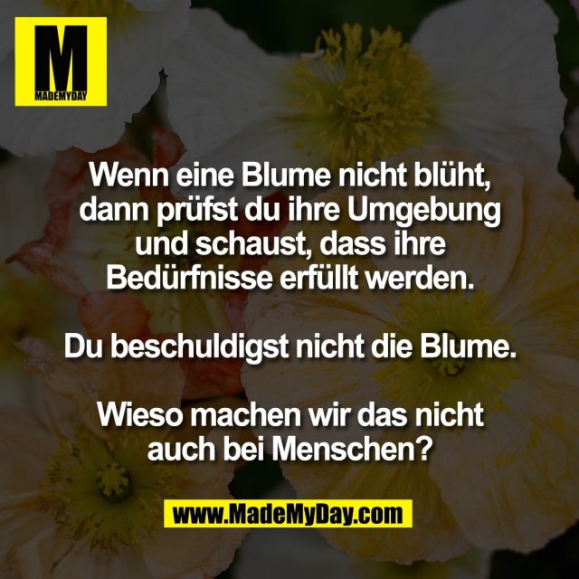Wenn eine Blume nicht blüht,<br />
dann prüfst du ihre Umgebung<br />
und schaust, dass ihre<br />
Bedürfnisse erfüllt werden.<br />
<br />
Du beschuldigst nicht die Blume.<br />
<br />
Wieso machen wir das nicht<br />
auch bei Menschen?