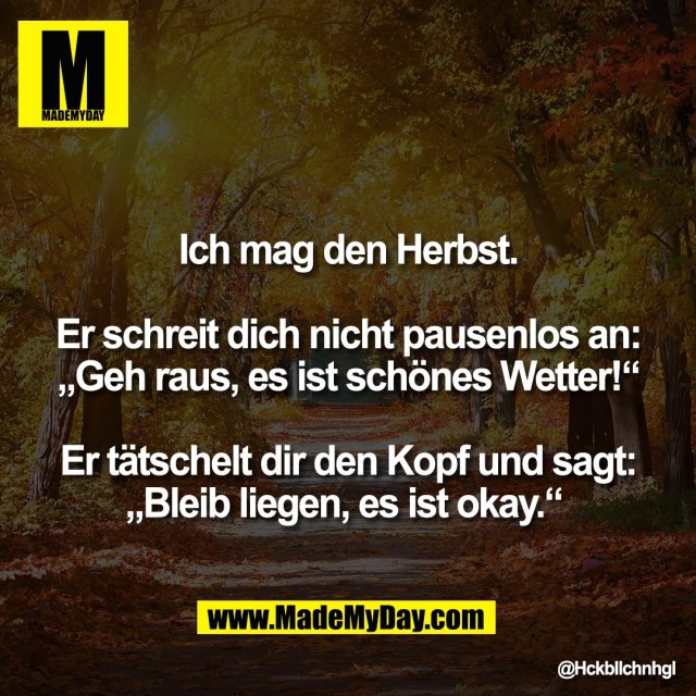 Ich mag den Herbst.<br />
<br />
Er schreit dich nicht pausenlos an:<br />
„Geh raus, es ist schönes Wetter!“<br />
<br />
Er tätschelt dir den Kopf und sagt:<br />
„Bleib liegen, es ist okay.“