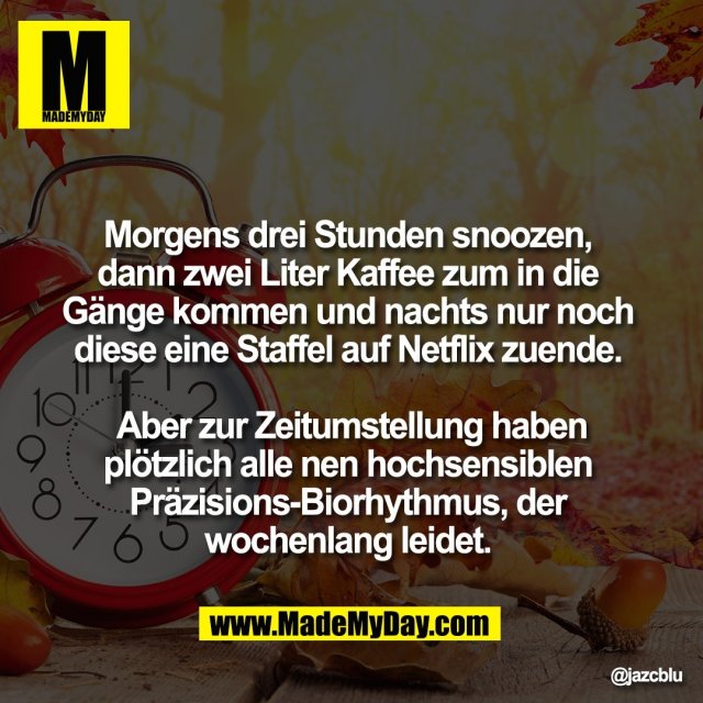 Morgens drei Stunden snoozen, <br />
dann zwei Liter Kaffee zum in die <br />
Gänge kommen und nachts nur noch <br />
diese eine Staffel auf Netflix zuende. <br />
<br />
Aber zur Zeitumstellung haben<br />
plötzlich alle nen hochsensiblen <br />
Präzisions-Biorhythmus, der <br />
wochenlang leidet.