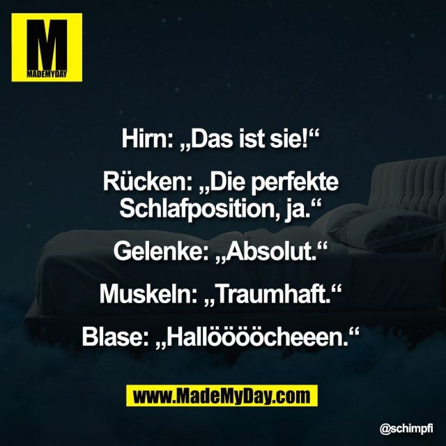 Hirn: „Das ist sie!“ <br />
<br />
Rücken: „Die perfekte <br />
Schlafposition, ja.“ <br />
<br />
Gelenke: „Absolut.“ <br />
<br />
Muskeln: „Traumhaft.“ <br />
<br />
Blase: „Hallööööcheeen.“