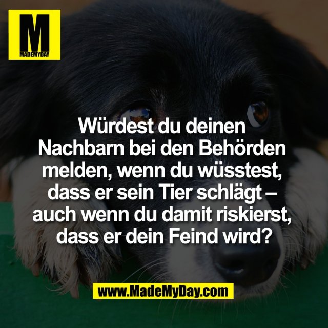 Würdest du deinen <br />
Nachbarn bei den Behörden <br />
melden, wenn du wüsstest, <br />
dass er sein Tier schlägt – <br />
auch wenn du damit riskierst, <br />
dass er dein Feind wird?