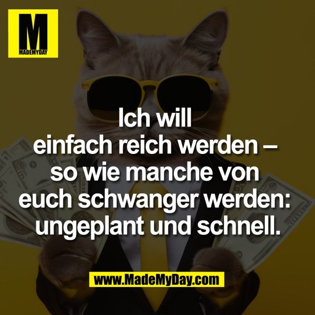 Ich will <br />
einfach reich werden – <br />
so wie manche von <br />
euch schwanger werden: <br />
ungeplant und schnell.