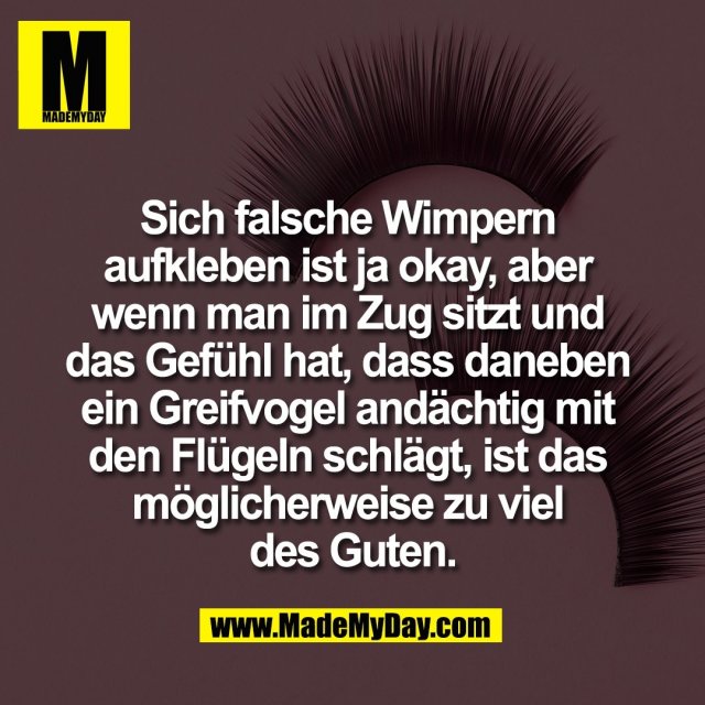 Sich falsche Wimpern <br />
aufkleben ist ja okay, aber <br />
wenn man im Zug sitzt und <br />
das Gefühl hat, dass daneben <br />
ein Greifvogel andächtig mit <br />
den Flügeln schlägt, ist das <br />
möglicherweise zu viel <br />
des Guten.