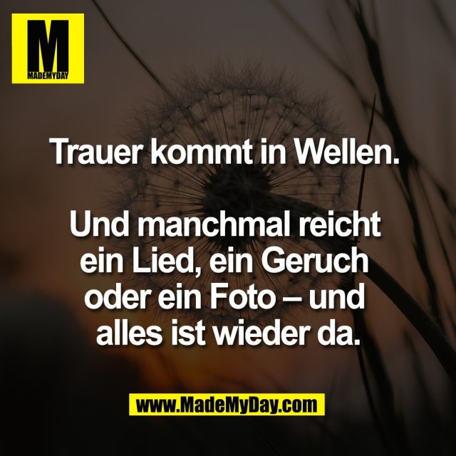 Trauer kommt in Wellen. <br />
<br />
Und manchmal reicht <br />
ein Lied, ein Geruch <br />
oder ein Foto – und <br />
alles ist wieder da.