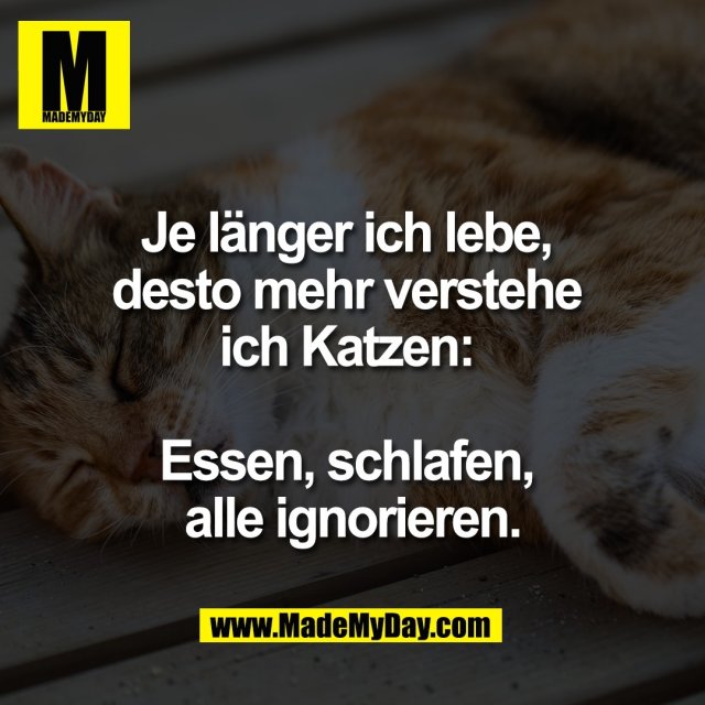 Je länger ich lebe, <br />
desto mehr verstehe <br />
ich Katzen: <br />
<br />
Essen, schlafen, <br />
alle ignorieren.
