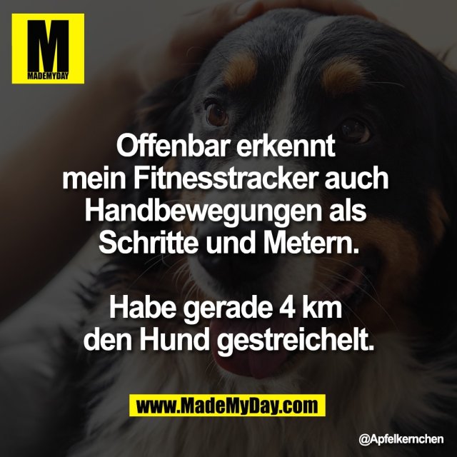 Offenbar erkennt <br />
mein Fitnesstracker auch <br />
Handbewegungen als <br />
Schritte und Metern.<br />
<br />
Habe gerade 4 km <br />
den Hund gestreichelt.