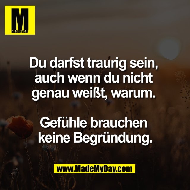 Du darfst traurig sein, <br />
auch wenn du nicht <br />
genau weißt, warum. <br />
<br />
Gefühle brauchen <br />
keine Begründung.
