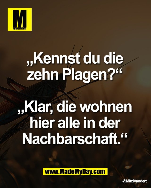 „Kennst du die <br />
zehn Plagen?“ <br />
<br />
„Klar, die wohnen <br />
hier alle in der <br />
Nachbarschaft.“ 