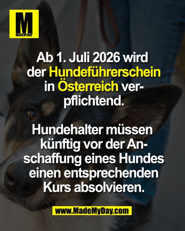 Ab 1. Juli 2026 wird <br />
der Hundef&uuml;hrerschein<br />
in &Ouml;sterreich ver-<br />
pflichtend.<br />
<br />
Hundehalter m&uuml;ssen <br />
k&uuml;nftig vor der An-<br />
schaffung eines Hundes<br />
einen entsprechenden<br />
Kurs absolvieren.