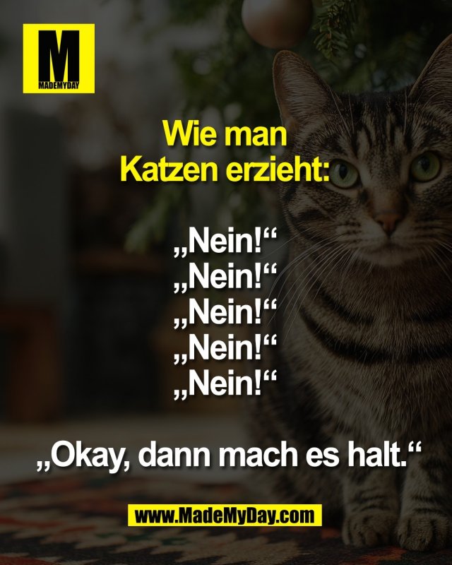 Wie man <br />
Katzen erzieht: <br />
<br />
&bdquo;Nein!&ldquo; <br />
&bdquo;Nein!&ldquo; <br />
&bdquo;Nein!&ldquo; <br />
&bdquo;Nein!&ldquo; <br />
&bdquo;Nein!&ldquo; <br />
<br />
&bdquo;Okay, dann mach es halt.&ldquo;