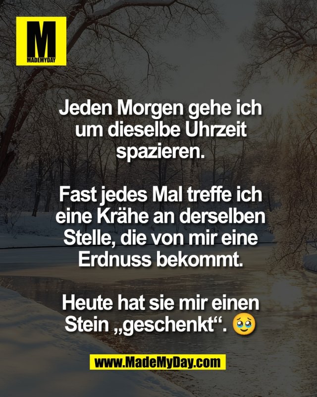 Jeden Morgen gehe ich<br />
um dieselbe Uhrzeit<br />
spazieren.<br />
<br />
Fast jedes Mal treffe ich<br />
eine Kr&auml;he an derselben<br />
Stelle, die von mir eine<br />
Erdnuss bekommt.<br />
<br />
Heute hat sie mir einen<br />
Stein &bdquo;geschenkt&ldquo;. 🥹
