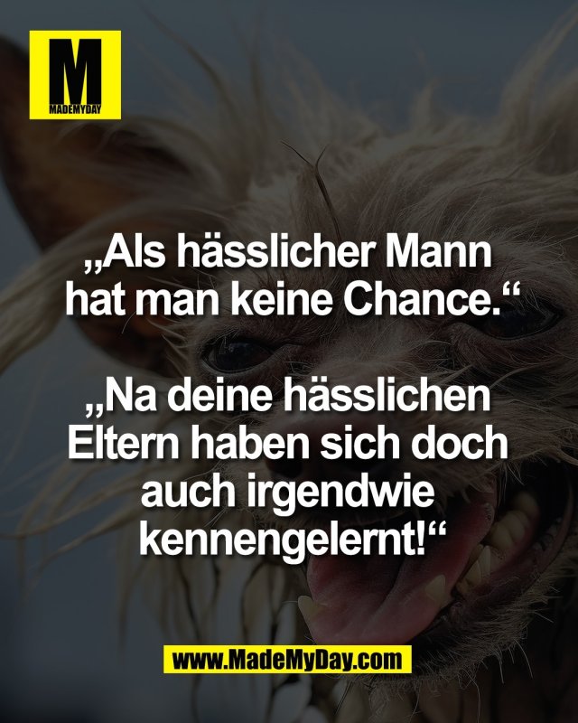 &bdquo;Als h&auml;sslicher Mann <br />
hat man keine Chance.&ldquo;<br />
<br />
&bdquo;Na deine h&auml;sslichen <br />
Eltern haben sich doch <br />
auch irgendwie <br />
kennengelernt!&ldquo;