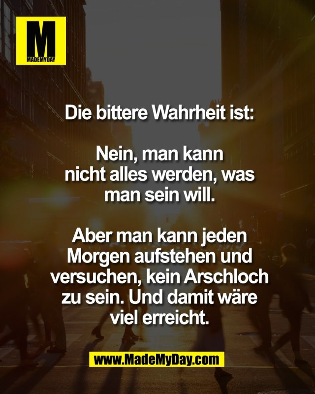 Die bittere Wahrheit ist:<br />
<br />
Nein, man kann<br />
nicht alles werden, was<br />
man sein will.<br />
<br />
Aber man kann jeden<br />
Morgen aufstehen und<br />
versuchen, kein Arschloch<br />
zu sein. Und damit w&auml;re<br />
viel erreicht.