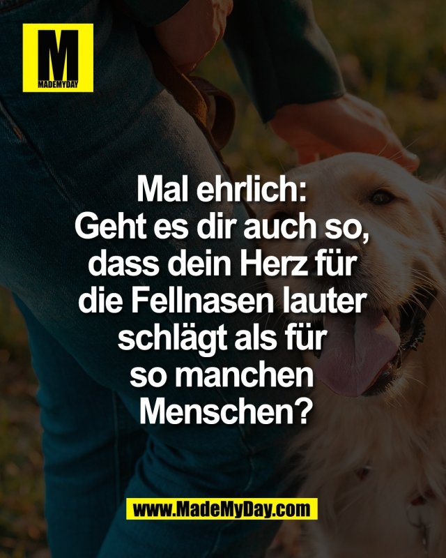 Mal ehrlich: <br />
Geht es dir auch so, <br />
dass dein Herz f&uuml;r <br />
die Fellnasen lauter <br />
schl&auml;gt als f&uuml;r <br />
so manchen <br />
Menschen?