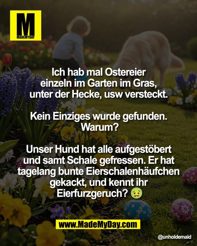 Ich hab mal Ostereier <br />
einzeln im Garten im Gras, <br />
unter der Hecke, usw versteckt. <br />
<br />
Kein Einziges wurde gefunden. <br />
Warum?<br />
<br />
Unser Hund hat alle aufgest&ouml;bert <br />
und samt Schale gefressen. Er hat <br />
tagelang bunte Eierschalenh&auml;ufchen <br />
gekackt, und kennt ihr <br />
Eierfurzgeruch? 🤢