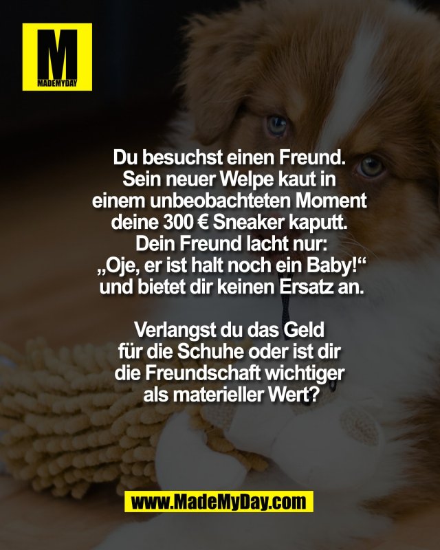 Zahlt die Versicherung der Freundschaft oder erwartest du hier echten Schadensersatz? &eth;&Yuml;&frac34;&eth;&Yuml;&lsquo;&Yuml;