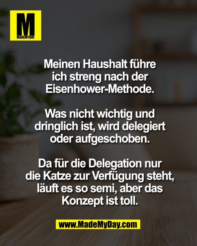Meinen Haushalt f&uuml;hre<br />
ich streng nach der<br />
Eisenhower-Methode.<br />
<br />
Was nicht wichtig und<br />
dringlich ist, wird delegiert<br />
oder aufgeschoben.<br />
<br />
Da f&uuml;r die Delegation nur<br />
die Katze zur Verf&uuml;gung steht,<br />
l&auml;uft es so semi, aber das<br />
Konzept ist toll.