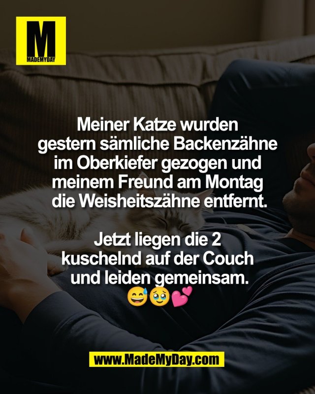 Meiner Katze wurden <br />
gestern s&auml;mliche Backenz&auml;hne <br />
im Oberkiefer gezogen und <br />
meinem Freund am Montag <br />
die Weisheitsz&auml;hne entfernt.<br />
<br />
Jetzt liegen die 2 <br />
kuschelnd auf der Couch <br />
und leiden gemeinsam.<br />
😅🥹💕