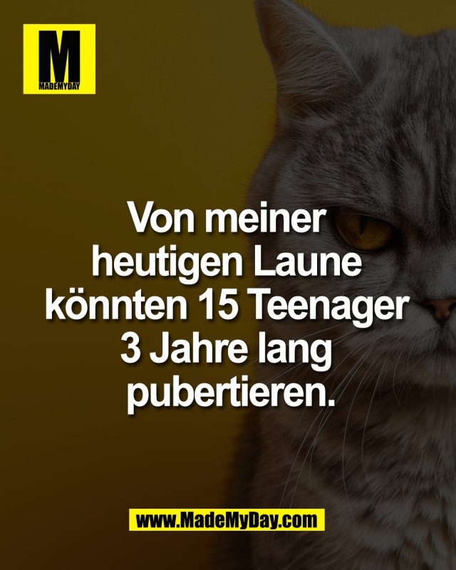 Von meiner <br />
heutigen Laune <br />
k&ouml;nnten 15 Teenager <br />
3 Jahre lang <br />
pubertieren.