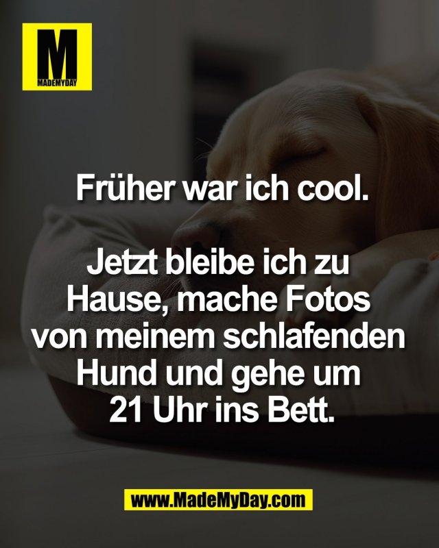 Fr&uuml;her war ich cool.<br />
<br />
Jetzt bleibe ich zu Hause,<br />
mache Fotos von meinem<br />
schlafenden Hund und gehe<br />
um 21 Uhr ins Bett.