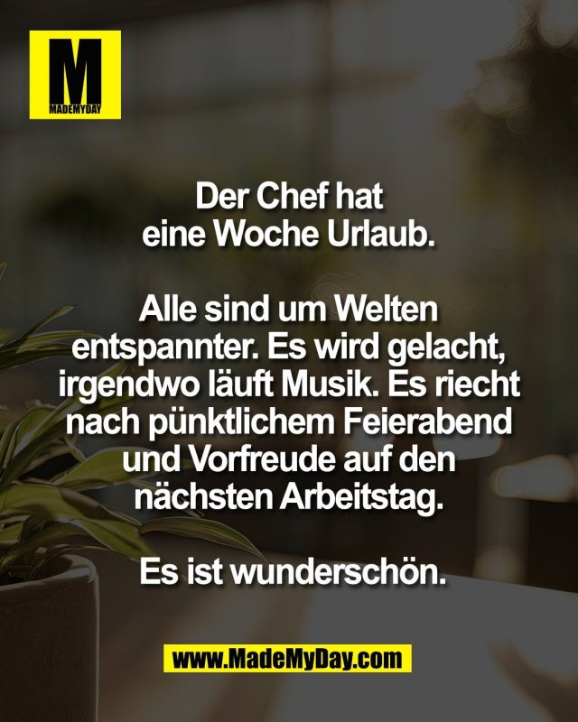 Der Chef hat <br />
eine Woche Urlaub. <br />
<br />
Alle sind um Welten <br />
entspannter. Es wird gelacht, <br />
irgendwo l&auml;uft Musik. Es riecht <br />
nach p&uuml;nktlichem Feierabend <br />
und Vorfreude auf den <br />
n&auml;chsten Arbeitstag. <br />
<br />
Es ist wundersch&ouml;n.