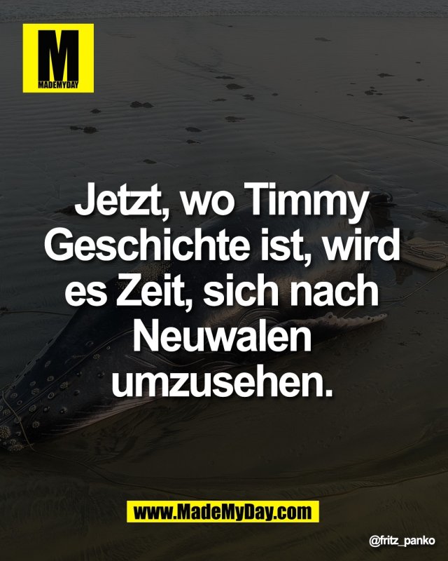 Jetzt, wo Timmy <br />
Geschichte ist, wird <br />
es Zeit, sich nach <br />
Neuwalen <br />
umzusehen.