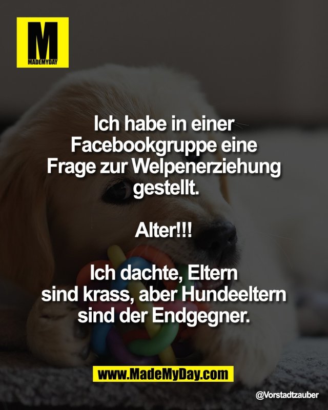 "Ich habe in einer <br />
Facebookgruppe eine <br />
Frage zur Welpenerziehung <br />
gestellt.<br />
 <br />
Alter!!! <br />
<br />
Ich dachte, Eltern <br />
sind krass, aber Hundeeltern <br />
sind der Endgegner. "