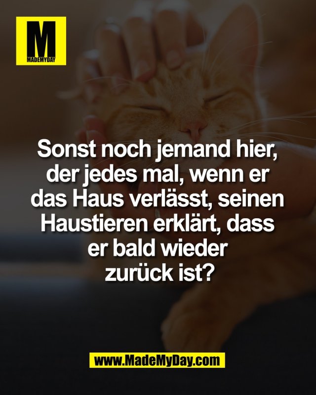Sonst noch jemand hier, <br />
der jedes mal, wenn er <br />
das Haus verl&auml;sst, seinen <br />
Haustieren erkl&auml;rt, dass <br />
er bald wieder <br />
zur&uuml;ck ist?