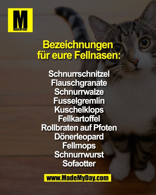 Bezeichnungen <br />
f&uuml;r eure Fellnasen:<br />
<br />
Schnurrschnitzel<br />
Flauschgranate<br />
Schnurrwalze<br />
Fusselgremlin<br />
Kuschelklops<br />
Fellkartoffel<br />
Rollbraten auf Pfoten<br />
D&ouml;nerleopard<br />
Fellmops<br />
Schnurrwurst<br />
Sofaotter