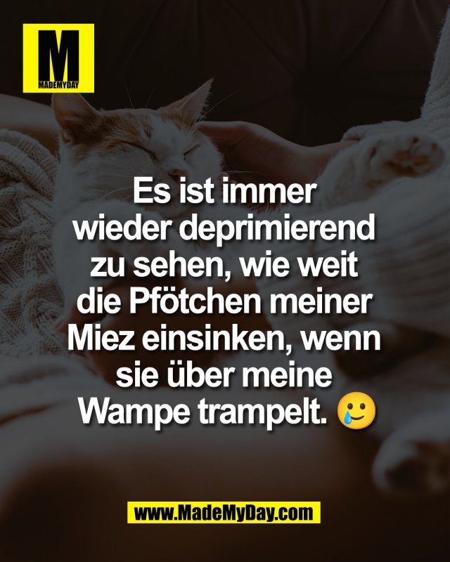 Es ist immer <br />
wieder deprimierend <br />
zu sehen, wie weit <br />
die Pf&ouml;tchen meiner <br />
Miez einsinken, wenn <br />
sie &uuml;ber meine <br />
Wampe trampelt. 🥲