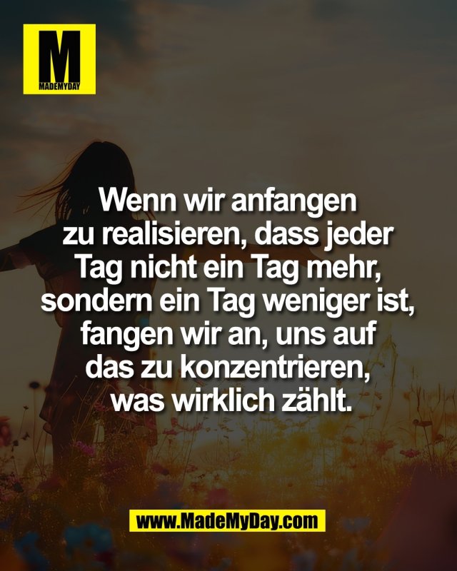 Wenn wir anfangen <br />
zu realisieren, dass jeder <br />
Tag nicht ein Tag mehr, <br />
sondern ein Tag weniger ist, <br />
fangen wir an, uns auf <br />
das zu konzentrieren, <br />
was wirklich z&auml;hlt.
