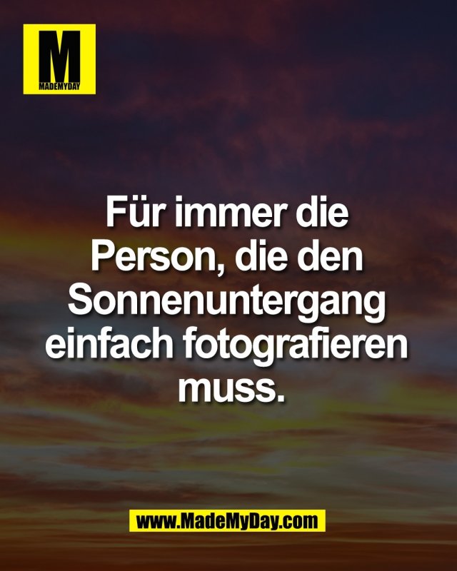 F&uuml;r immer die <br />
Person, die den <br />
Sonnenuntergang <br />
einfach fotografieren <br />
muss.