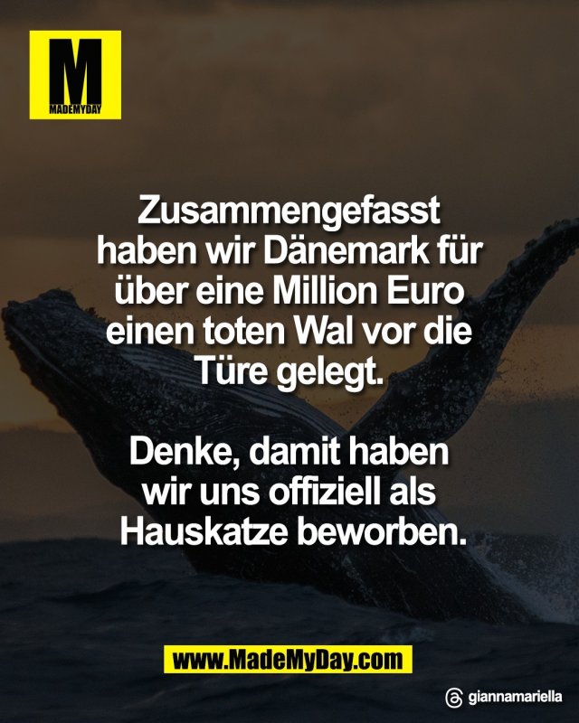 Zusammengefasst <br />
haben wir D&auml;nemark f&uuml;r <br />
&uuml;ber eine Million Euro <br />
einen toten Wal vor die <br />
T&uuml;re gelegt. <br />
<br />
Denke, damit haben <br />
wir uns offiziell als <br />
Hauskatze beworben.<br />
<br />
Threads: giannamariella
