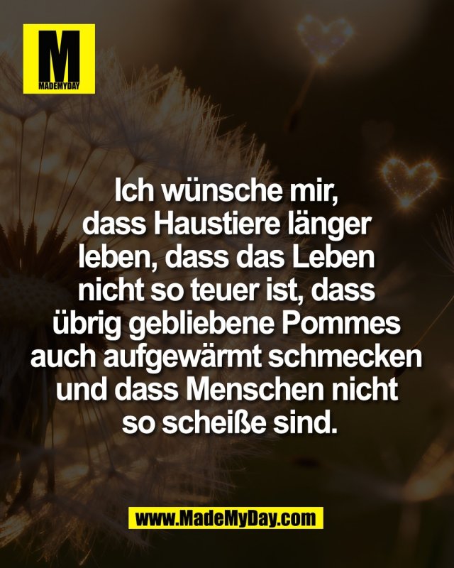 Ich w&uuml;nsche mir, <br />
dass Haustiere l&auml;nger <br />
leben, dass das Leben <br />
nicht so teuer ist, dass <br />
&uuml;brig gebliebene Pommes <br />
auch aufgew&auml;rmt schmecken <br />
und dass Menschen nicht <br />
so schei&szlig;e sind.