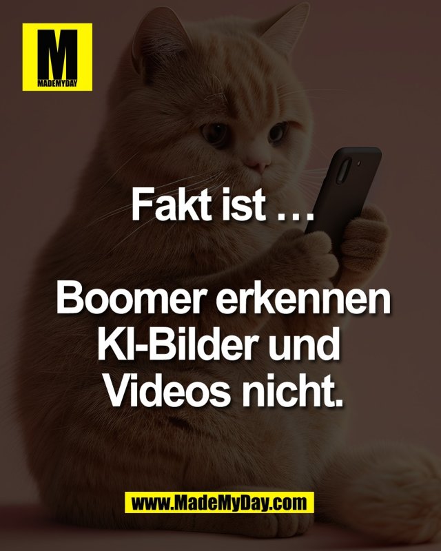 Fakt ist &hellip;<br />
<br />
Boomer erkennen<br />
KI-Bilder und <br />
Videos nicht.