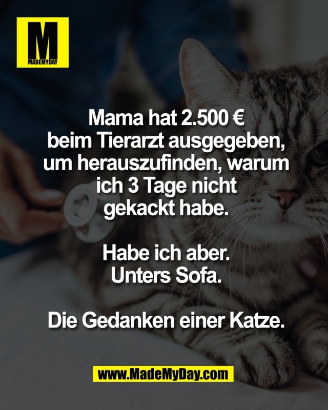 Mama hat 2.500 &euro;<br />
beim Tierarzt ausgegeben,<br />
um herauszufinden, warum<br />
ich 3 Tage nicht<br />
gekackt habe.<br />
<br />
Habe ich aber.<br />
Unters Sofa.<br />
<br />
Die Gedanken einer Katze.