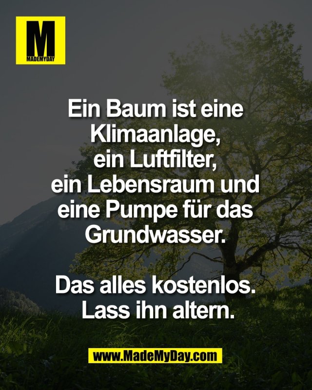 Ein Baum ist eine <br />
Klimaanlage, <br />
ein Luftfilter, <br />
ein Lebensraum und <br />
eine Pumpe f&uuml;r das <br />
Grundwasser. <br />
<br />
Das alles kostenlos. <br />
Lass ihn altern.