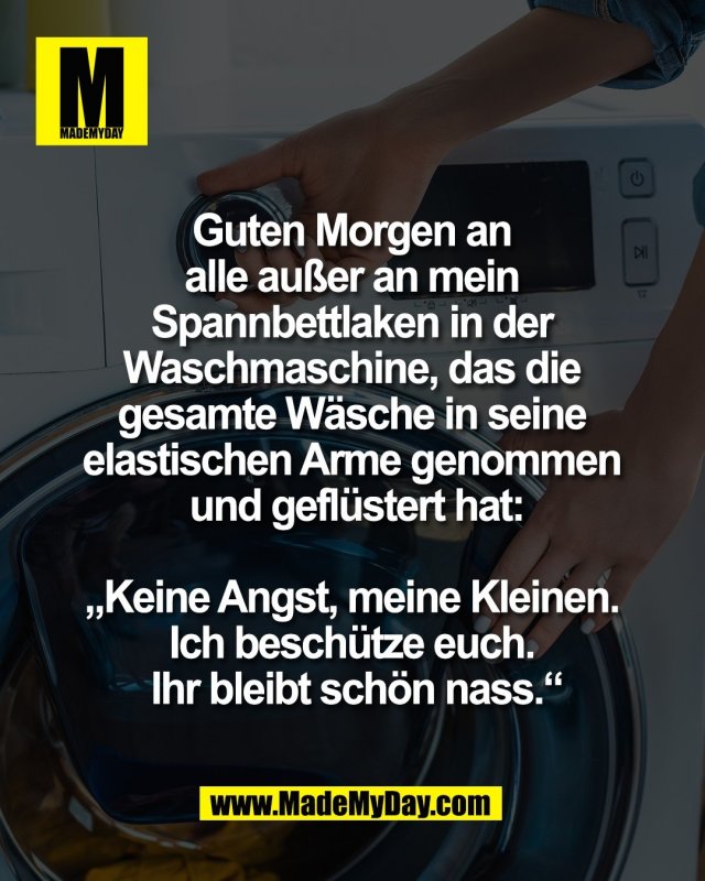 Guten Morgen an <br />
alle au&szlig;er an mein <br />
Spannbettlaken in der <br />
Waschmaschine, das die <br />
gesamte W&auml;sche in seine <br />
elastischen Arme genommen <br />
und gefl&uuml;stert hat:<br />
<br />
&bdquo;Keine Angst, meine Kleinen. <br />
Ich besch&uuml;tze euch. <br />
Ihr bleibt sch&ouml;n nass.&ldquo;