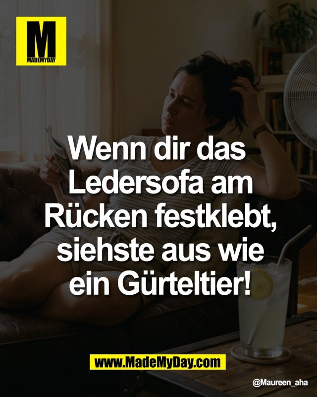 Wenn dir das <br />
Ledersofa am R&uuml;cken <br />
festklebt, siehste aus <br />
wie ein G&uuml;rteltier!