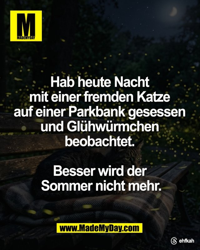 Hab heute Nacht <br />
mit einer fremden Katze <br />
auf einer Parkbank gesessen <br />
und Gl&uuml;hw&uuml;rmchen <br />
beobachtet. <br />
<br />
Besser wird der <br />
Sommer nicht mehr.<br />
<br />
Threads: ehfkah