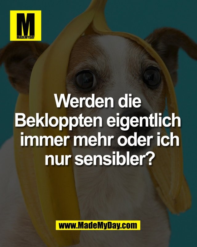 Werden die <br />
Bekloppten eigentlich <br />
immer mehr oder ich<br />
nur sensibler?