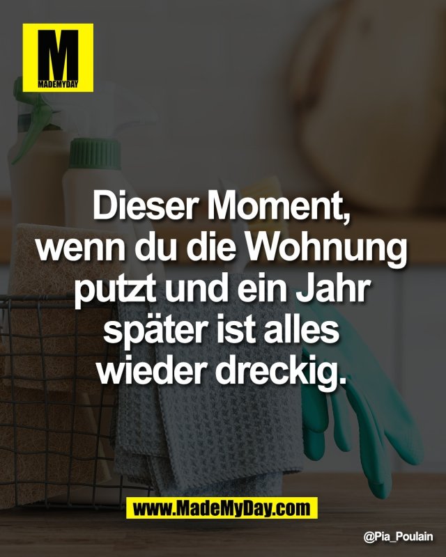 Dieser Moment, <br />
wenn du die Wohnung <br />
putzt und ein Jahr <br />
sp&auml;ter ist alles <br />
wieder dreckig.