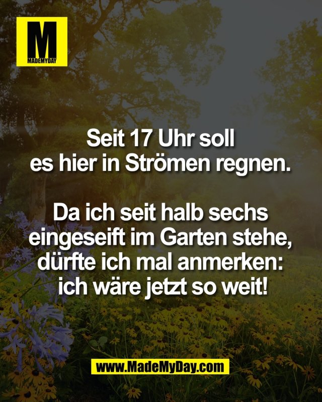 Seit 17 Uhr soll <br />
es hier in Str&ouml;men regnen. <br />
<br />
Da ich seit halb sechs <br />
eingeseift im Garten stehe, <br />
d&uuml;rfte ich mal anmerken: <br />
ich w&auml;re jetzt so weit!