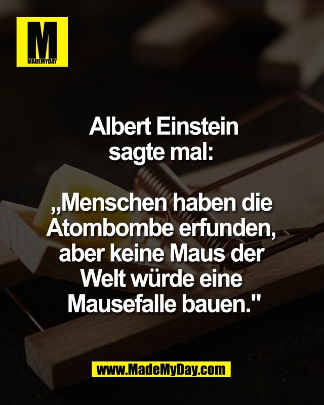 Albert Einstein<br />
sagte mal: <br />
<br />
&bdquo;Menschen haben die <br />
Atombombe erfunden, <br />
aber keine Maus der <br />
Welt w&uuml;rde eine <br />
Mausefalle bauen."